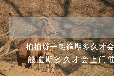 拍拍贷一般逾期多久才会上门催-拍拍贷一般逾期多久才会上门催收
