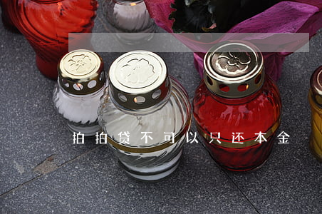 拍拍贷不可以只还本金