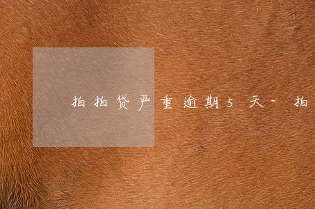 拍拍贷严重逾期5天-拍拍贷严重逾期5天