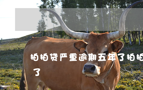 拍拍贷严重逾期五年了(拍拍贷严重逾期五年了)