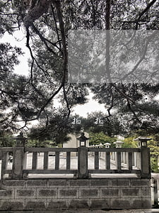 拍拍贷严重逾期五年 拍拍贷严重逾期五年