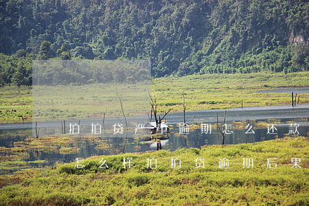 拍拍贷严重逾期怎么还款(拍拍贷逾期两天会怎么样?拍拍贷逾期后果介绍)
