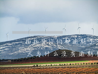 拍拍贷你们都逾期了多久(上海拍拍贷逾期一天为什么没有逾期费用)