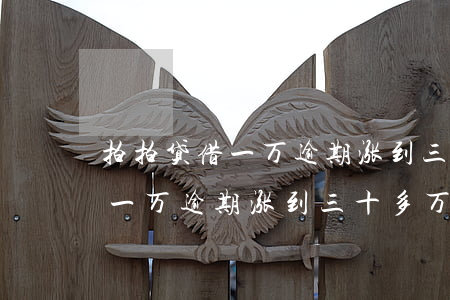 拍拍贷借一万逾期涨到三十多万-拍拍贷借一万逾期涨到三十多万怎么办