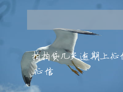 拍拍贷几天逾期上征信吗(拍拍贷一般几天上征信)