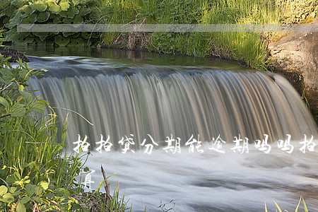 拍拍贷分期能逾期吗吗(拍拍贷分期利息怎么算)