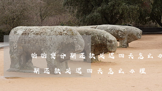 拍拍贷分期还款延迟四天怎么办-拍拍贷分期还款延迟四天怎么办理