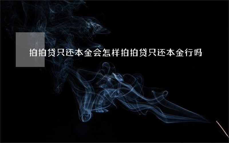 拍拍贷只还本金会怎样(拍拍贷只还本金行吗)