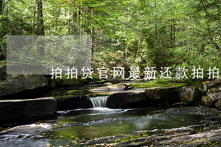 拍拍贷官网最新还款(拍拍贷还款规则)