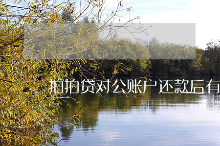 拍拍贷对公账户还款后有凭证吗-
