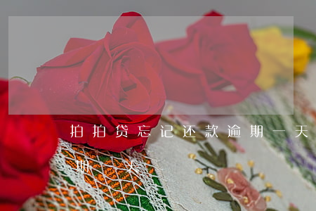 拍拍贷忘记还款逾期一天(拍拍贷忘记还款逾期一天)