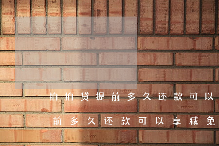拍拍贷提前多久还款可以享减免-拍拍贷提前多久还款可以享减免利息