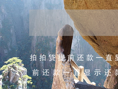 拍拍贷提前还款一直显示还款中-拍拍贷提前还款一直显示还款中怎么回事
