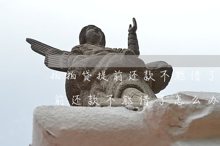 拍拍贷提前还款不能借了怎么办-拍拍贷提前还款不能借了怎么办呢