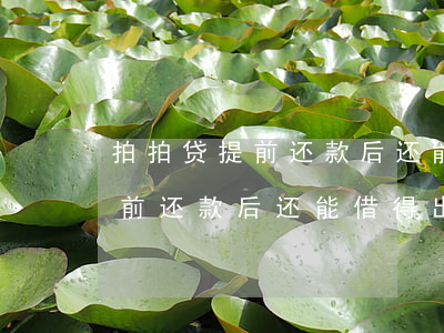 拍拍贷提前还款后还能借得出吗-拍拍贷提前还款后还能借得出吗安全吗