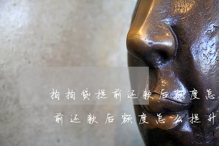 拍拍贷提前还款后额度怎么提升-拍拍贷提前还款后额度怎么提升的