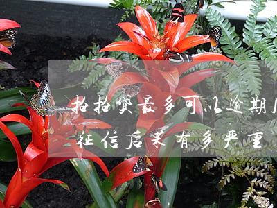 拍拍贷最多可以逾期几天(拍拍贷逾期多久上征信?后果有多严重)