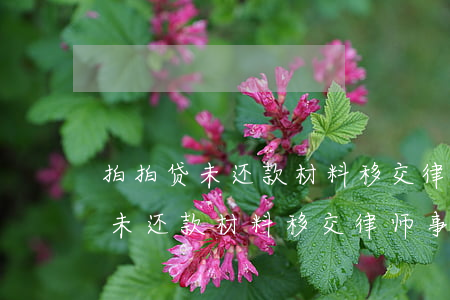 拍拍贷未还款材料移交律师事务所-拍拍贷未还款材料移交律师事务所可以吗