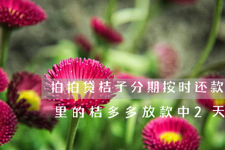 拍拍贷桔子分期按时还款会怎么样-拍拍贷里的桔多多放款中2天