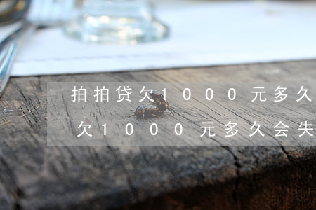 拍拍贷欠1000元多久会失去你-拍拍贷欠1000元多久会失去你的信息