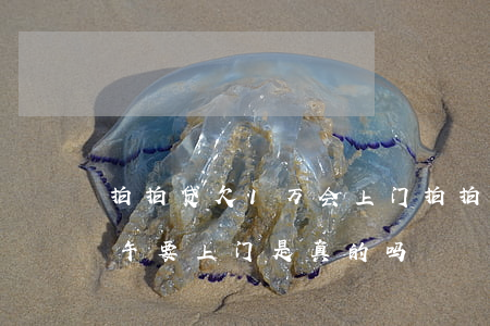 拍拍贷欠1万会上门(拍拍贷欠了一万多说下午要上门是真的吗?)