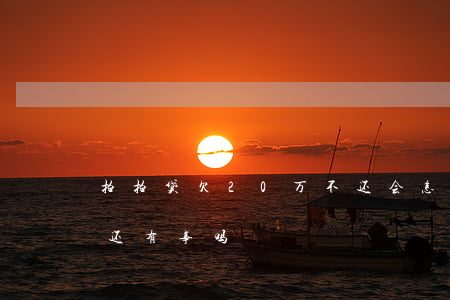 拍拍贷欠20万不还会怎样(拍拍贷两千多不还有事吗)