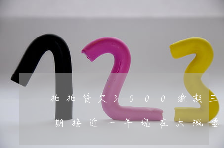 拍拍贷欠3000逾期三个月(拍拍贷三千逾期接近一年现在大概要还多少)