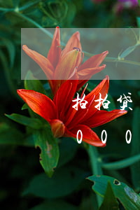 拍拍贷欠300没还说发律师函(欠拍拍贷2000元发了律师函会起诉吗)