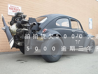 拍拍贷欠5000元逾期了怎么办(欠拍拍贷5000逾期三年多了 会起诉我吗)