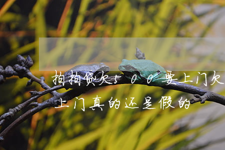 拍拍贷欠500要上门(欠拍拍贷一万多说要上门真的还是假的)