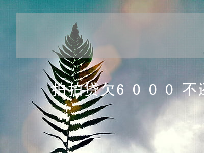拍拍贷欠6000不还会怎么样-