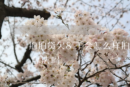 拍拍贷欠8千会怎么样(拍拍贷借八千还一万合法吗)
