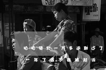 拍拍贷欠一万多逾期还了(欠拍拍贷两万多快一年了会不会被起诉)