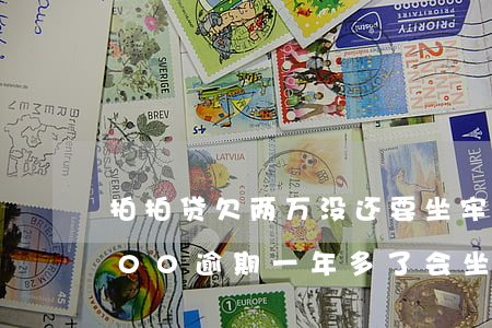 拍拍贷欠两万没还要坐牢吗(欠拍拍贷20000逾期一年多了 会坐牢吗)
