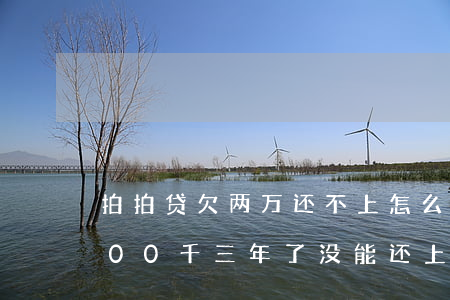 拍拍贷欠两万还不上怎么办(欠款拍拍贷2000千三年了没能还上怎么办)
