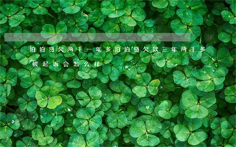 拍拍贷欠两千一年多(拍拍贷欠款三年两千多被起诉会怎么样)
