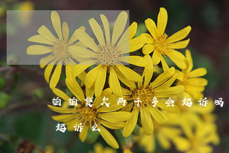 拍拍贷欠两千多会起诉吗(拍拍贷几千块钱会起诉么)