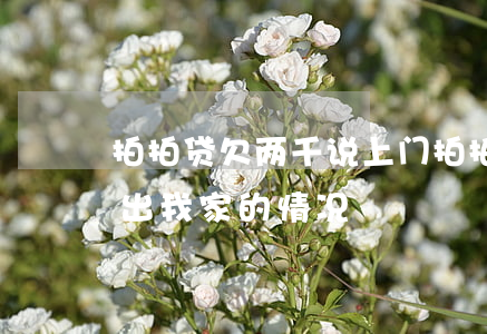 拍拍贷欠两千说上门(拍拍贷真的会上门还说出我家的情况)