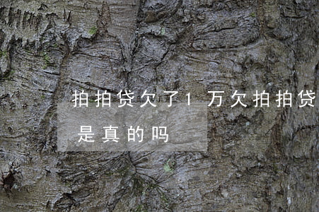 拍拍贷欠了1万(欠拍拍贷一千多说要起诉我是真的吗?)