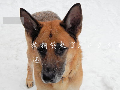 拍拍贷欠了5000不还了(拍拍贷一万多没还)