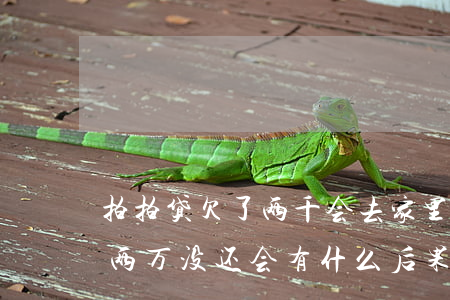 拍拍贷欠了两千会去家里吗(我在拍拍贷欠款两万没还,会有什么后果)