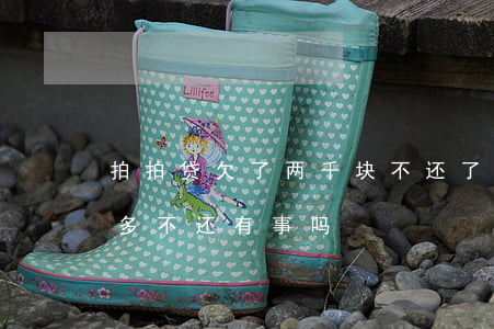拍拍贷欠了两千块不还了会咋样(拍拍贷两千多不还有事吗)
