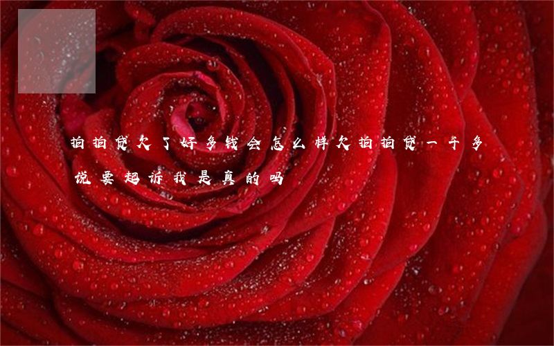 拍拍贷欠了好多钱会怎么样(欠拍拍贷一千多说要起诉我是真的吗?)