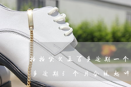 拍拍贷欠五百多逾期一个多月(拍拍贷欠五千多逾期5个月会被起诉吗)