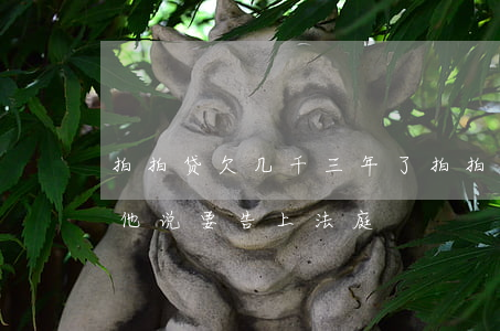 拍拍贷欠几千三年了(拍拍贷欠几千会一年了他说要告上法庭)
