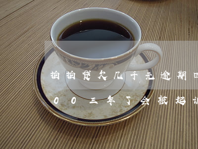 拍拍贷欠几千元逾期四五年了(拍拍贷欠5000,三年了,会被起诉吗?)