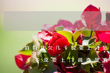 拍拍贷欠几千说要上门是真的么(欠拍拍贷一千多说要上门调查是真的吗?)