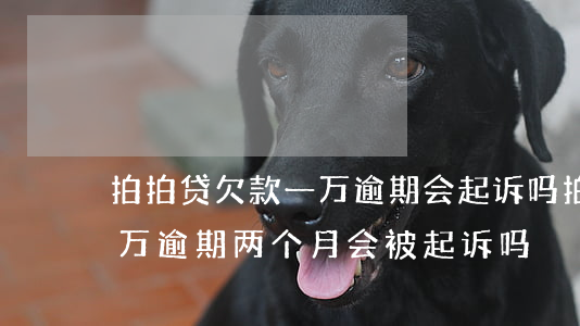 拍拍贷欠款一万逾期会起诉吗(拍拍贷欠款一万逾期两个月会被起诉吗?)