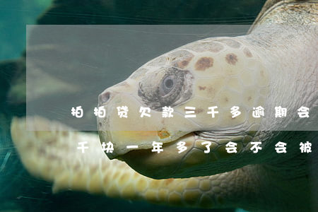 拍拍贷欠款三千多逾期会上门吗(欠拍拍贷三千块一年多了会不会被法院起诉)