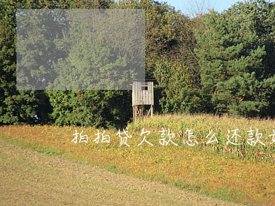 拍拍贷欠款怎么还款(如何还拍拍贷款)